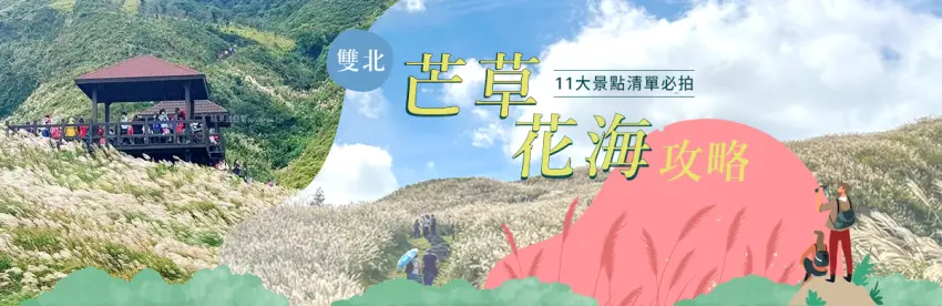 雙北芒草花海攻略