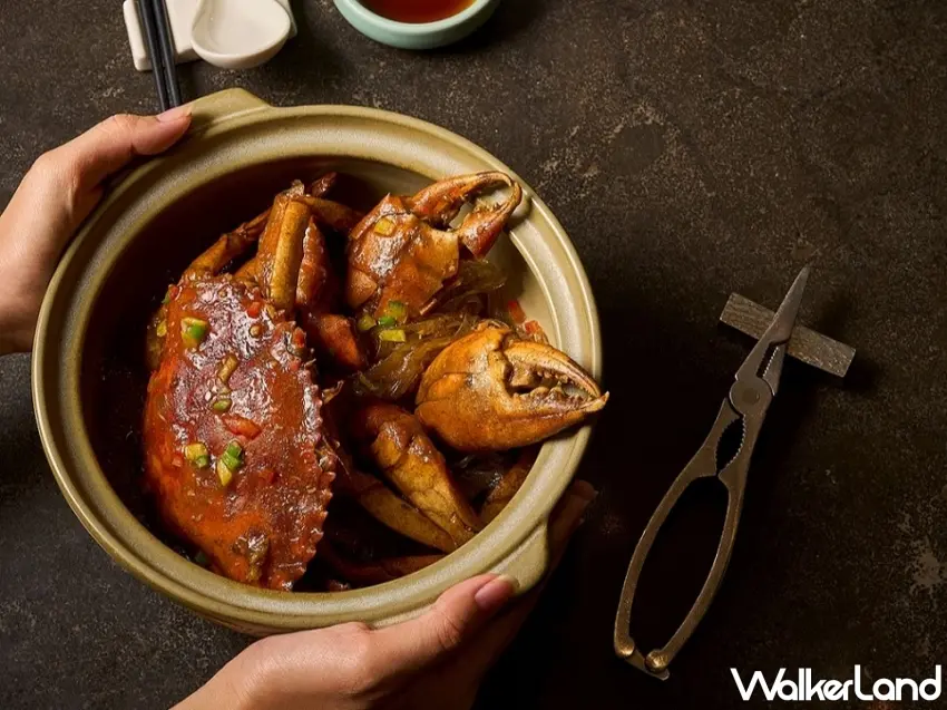 ▲濃郁醬香的「潮汕沙茶炒沙公」,以沙茶風味為基底,湯汁香氣誘人。