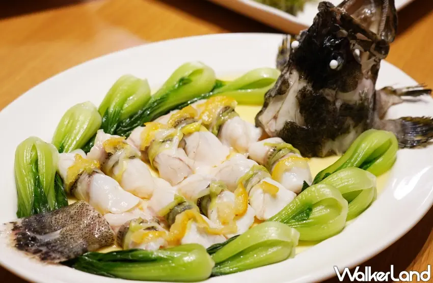 ▲「玉樹芙蓉龍虎斑」（攝影：楊婷雅）