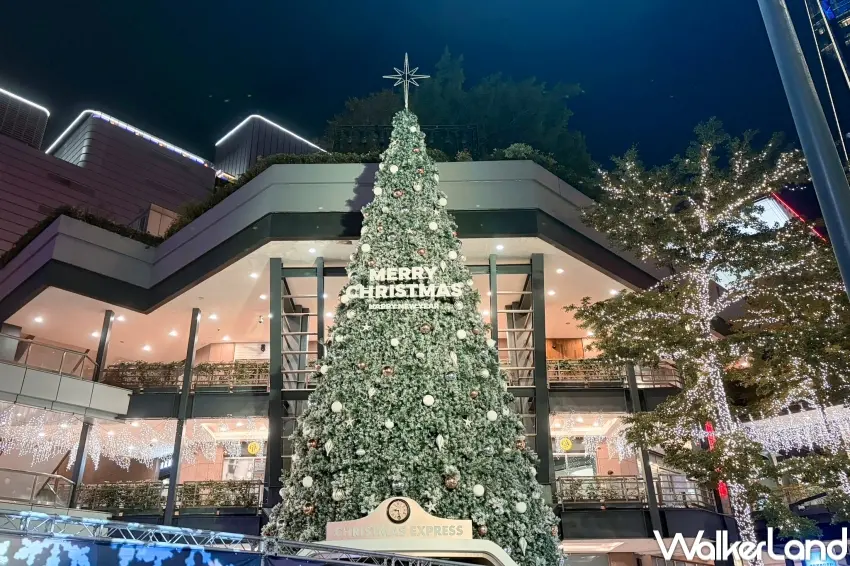 ▲新光三越信義區聖誕樹完工，20公尺高巨大聖誕樹強勢回歸。（攝影：張人尹）