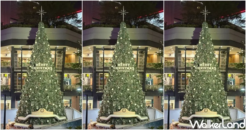 ▲人氣男團U:NUS擔任點燈大使，將在12/20 17:00舉行點燈活動。（攝影：張人尹）