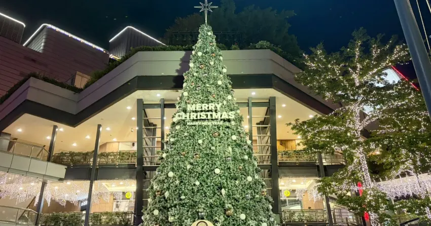 信義區聖誕樹+1！新光三越香堤廣場聖誕樹強勢回歸，下班就衝信義耶誕城打卡。