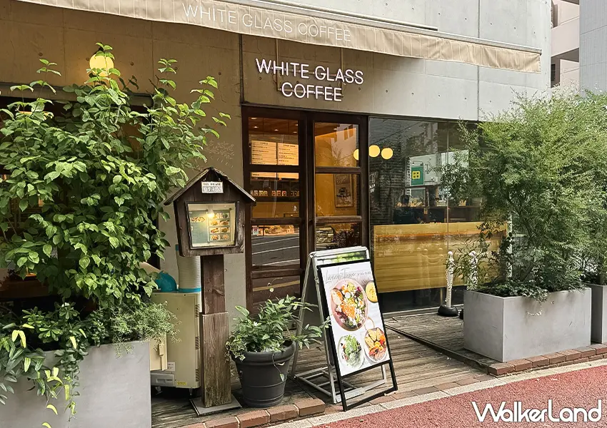 ▲福岡美食咖啡廳推薦!White Glass Coffee 飛碟提拉米蘇爆紅,博多車站步行可達、早上8點營業。