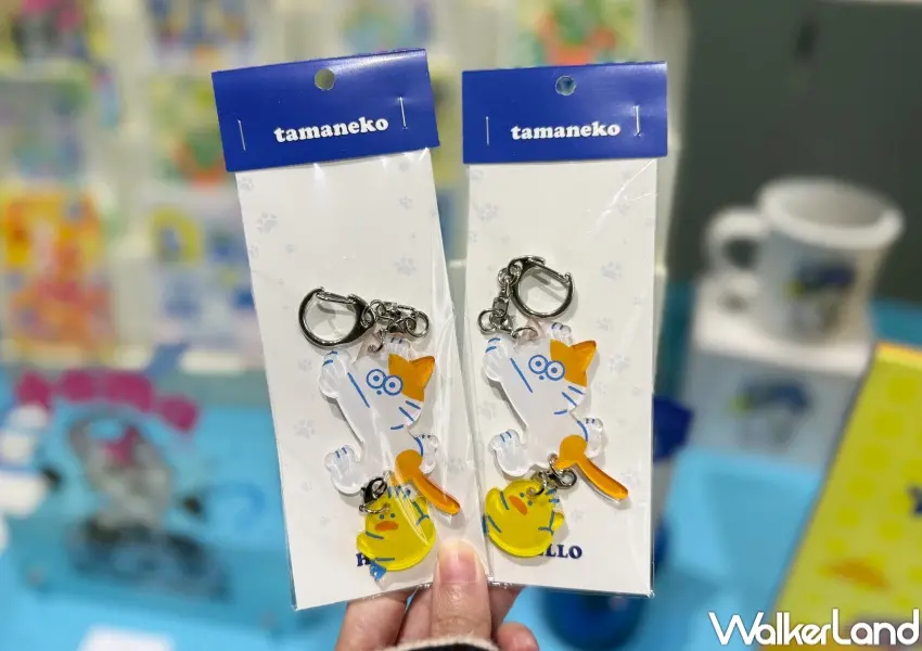 ▲中山站tamaneko貓咪周邊必買！明信片、海報、插畫集、鑰匙圈、T恤，貓奴收藏度爆表。(攝影：鄭亦庭)