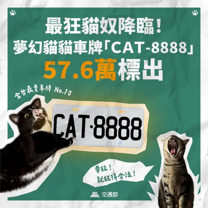 ▲「CAT-8888」以57萬6000元奪冠，成為貓奴心中最夢幻的車牌。