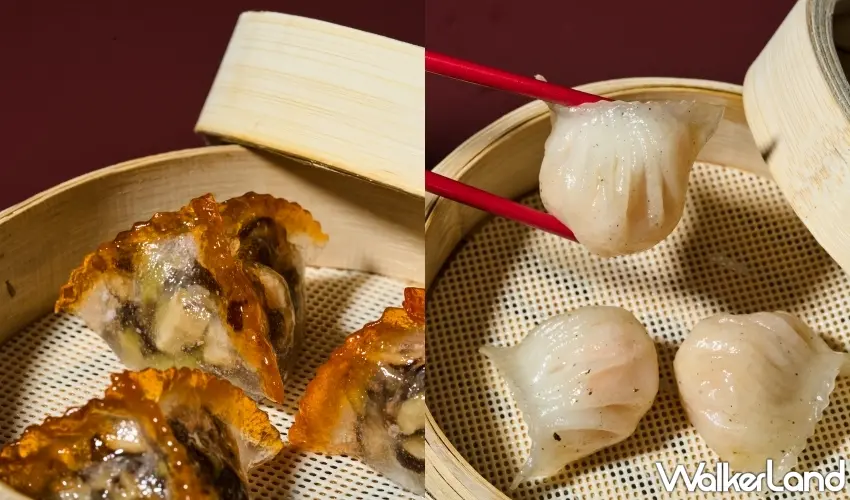 ▲T+T 團隊延伸品牌三點三現蒸港點,從午茶到調飲展現港式飲食節奏