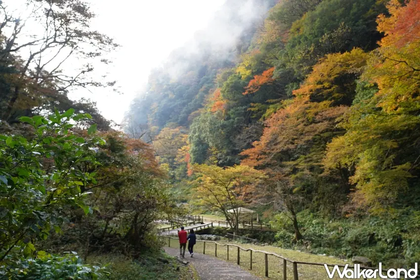 ▲「神庭瀑布」周邊的自然公園是不少當地居民的日常散步路線。（攝影：楊婷雅）