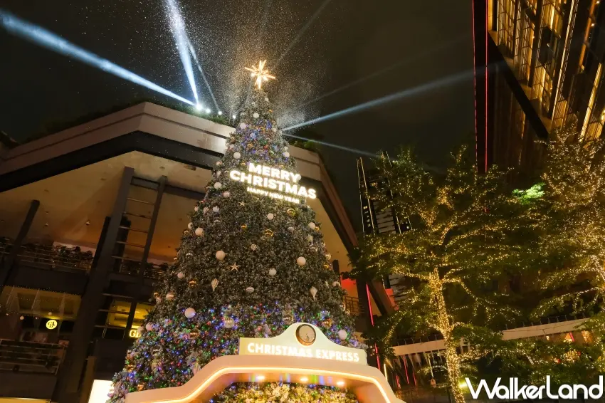 ▲20米高信義區聖誕樹，即日起將打造超過1,500場光影秀。（攝影：張人尹）