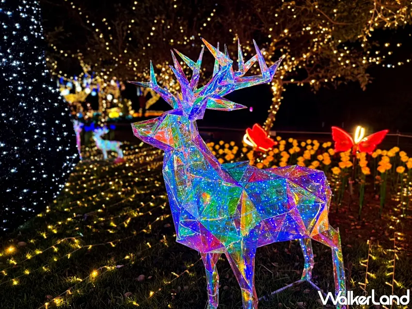 ▲冬季限定山谷燈光節點亮谷關與梨山,燈光秀與旅遊攻略成旅人熱門搜尋