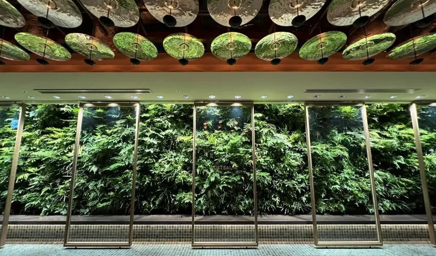 ▲高輪Gateway City North北館28–29樓的LUFTBAUM，是以「空中庭園 × 都市綠洲」為主題的複合型餐飲樓層。