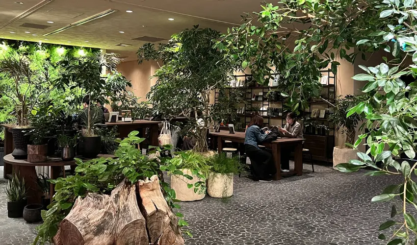 ▲LUFTBAUM空間設計與眾不同，木質地板延伸至玻璃窗邊，耳邊傳來庭園式環境音，窗外則展開東京港區的天際線。