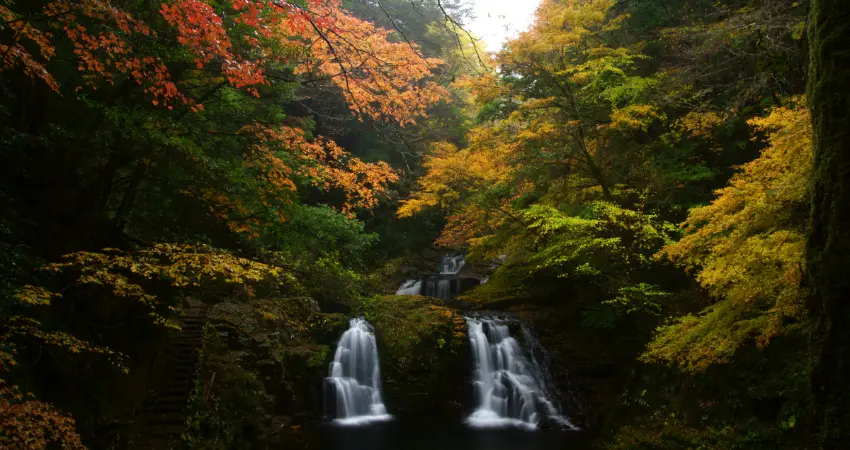 ▲赤目四十八滝景色壯闊,是大山椒魚的棲息地,也擁有日本瀑布百選、森林浴百選等殊榮。
