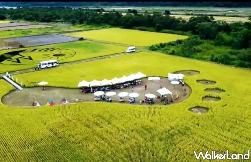 ▲此圖為2024FaliFali音樂節資料畫面 / 圖:FaliFali音樂節官方粉絲團