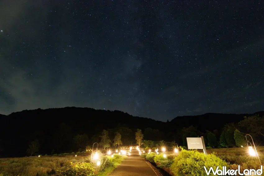 ▲「蒜山香草花園」夜間氛圍更加浪漫，尤其適合約會。（蒜山香草花園提供）