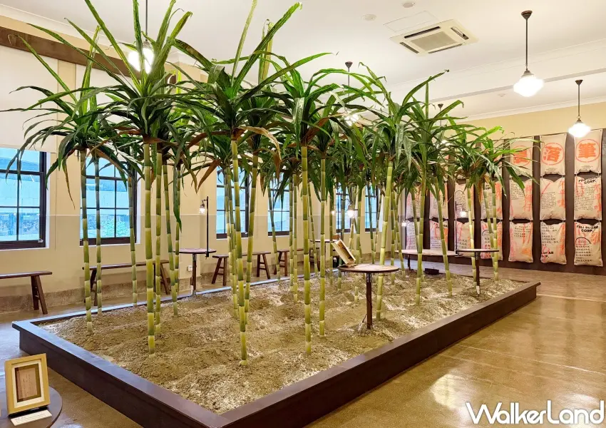 ▲大稻埕全糖株式會社特展巨大甘蔗群、糖產包裝袋。(攝影:鄭亦庭)