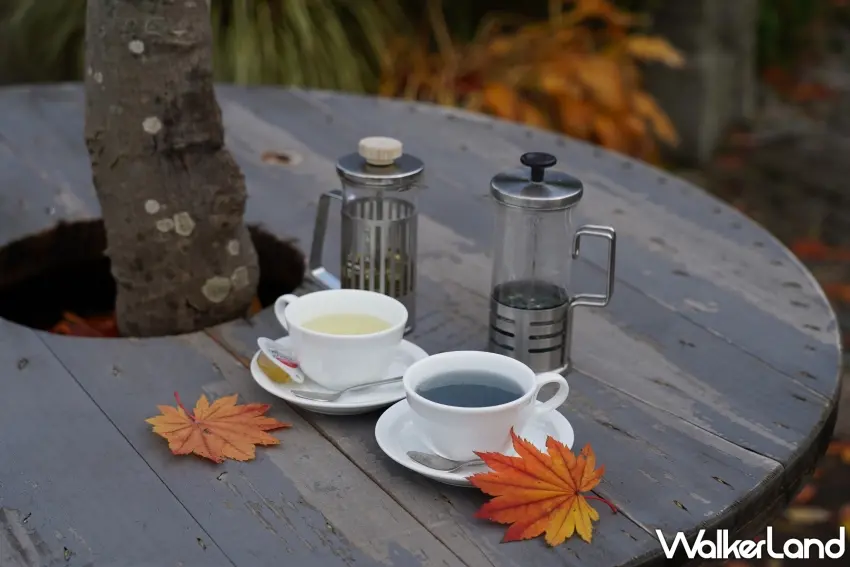 ▲「蒜山香草花園」得以品嚐以香草製作的花草茶。(攝影:楊婷雅)