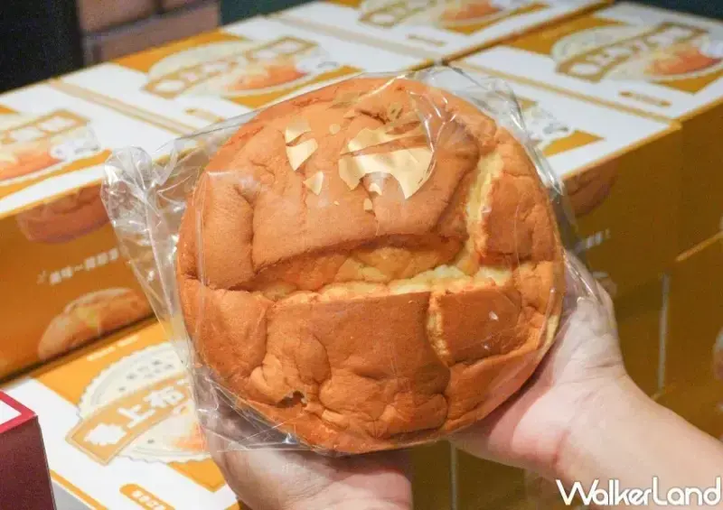 ▲春上布丁蛋糕買一送一。