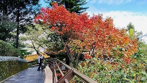▲台北楓葉觀賞景點推薦指南宮,台北最佳賞楓勝地之一。