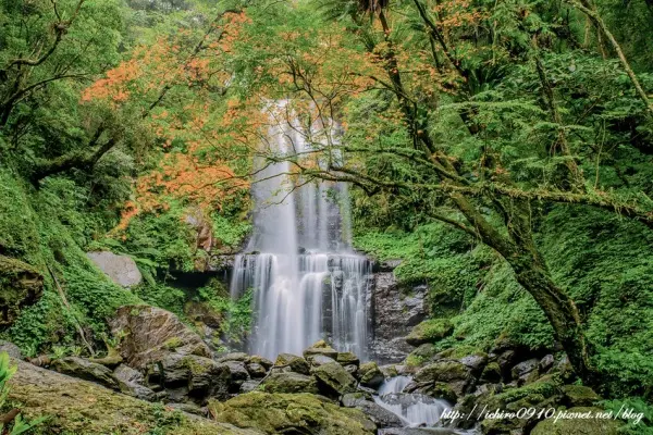 ▲新北楓葉觀賞景點推薦雲森瀑布,紅楓環繞的瀑布彷彿仙境般。