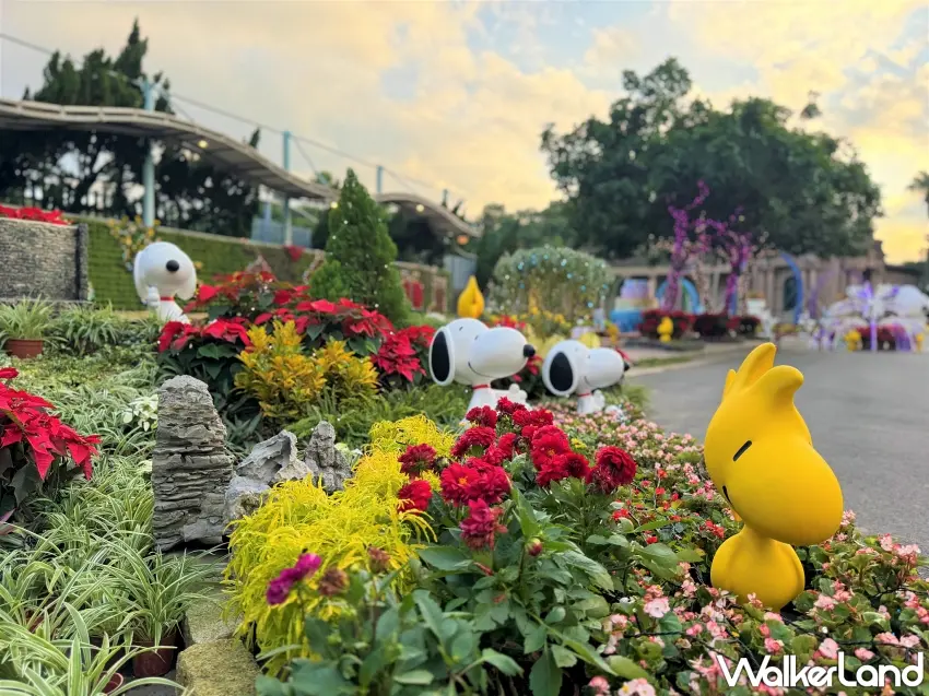 ▲公館聖誕季將於11月29日開幕，璀璨燈飾點亮自來水園區百年古蹟。