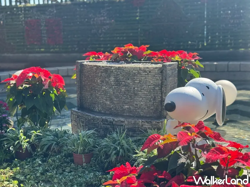 ▲台北公館聖誕季免費入園登場,史努比造景、熱飲與商圈折價券吸引遊客