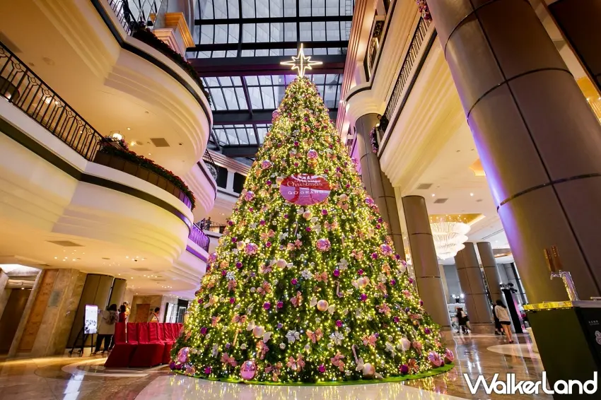 ▲台北君悅酒店點亮象徵祝福的十米高聖誕樹,璀璨奪目。