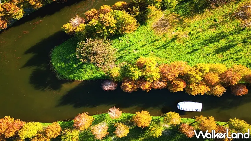 ▲為了讓旅人更近距離感受落羽松的魅力,園區推出「落羽松鏡湖乘船體驗」