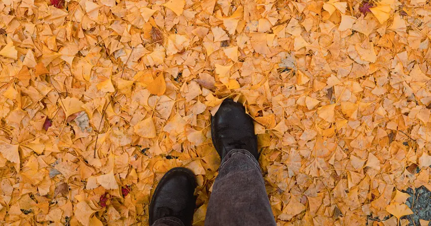 日本東北紅葉秘境景點7選！福島冬天景點推薦，這邊觀光客最少。