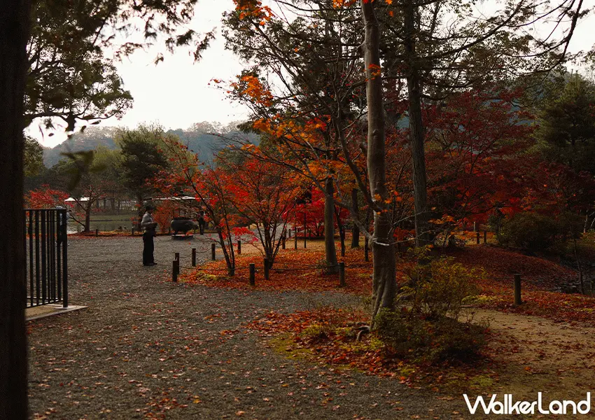 ▲日本東北紅葉秘境景點7選!福島冬天景點推薦,這邊觀光客最少。