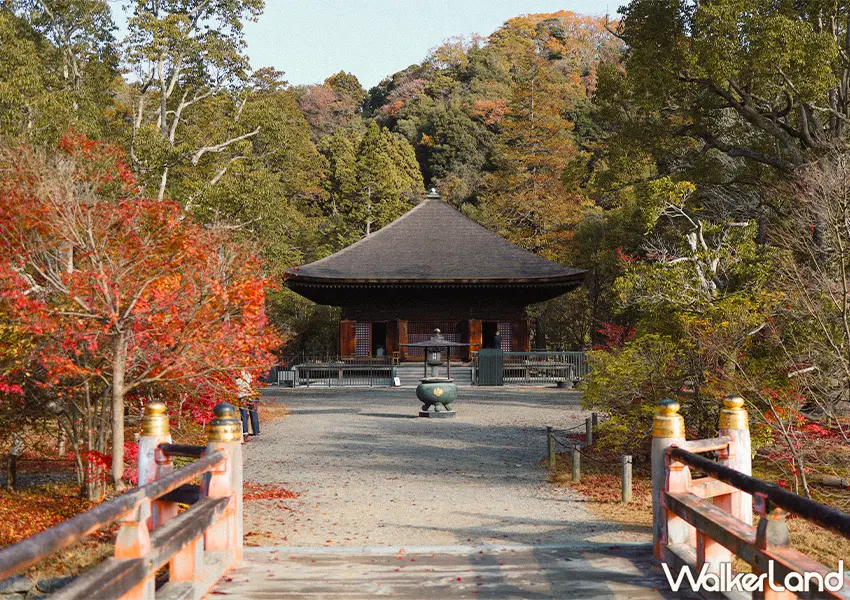 ▲日本東北紅葉秘境景點7選!福島冬天景點推薦,這邊觀光客最少。