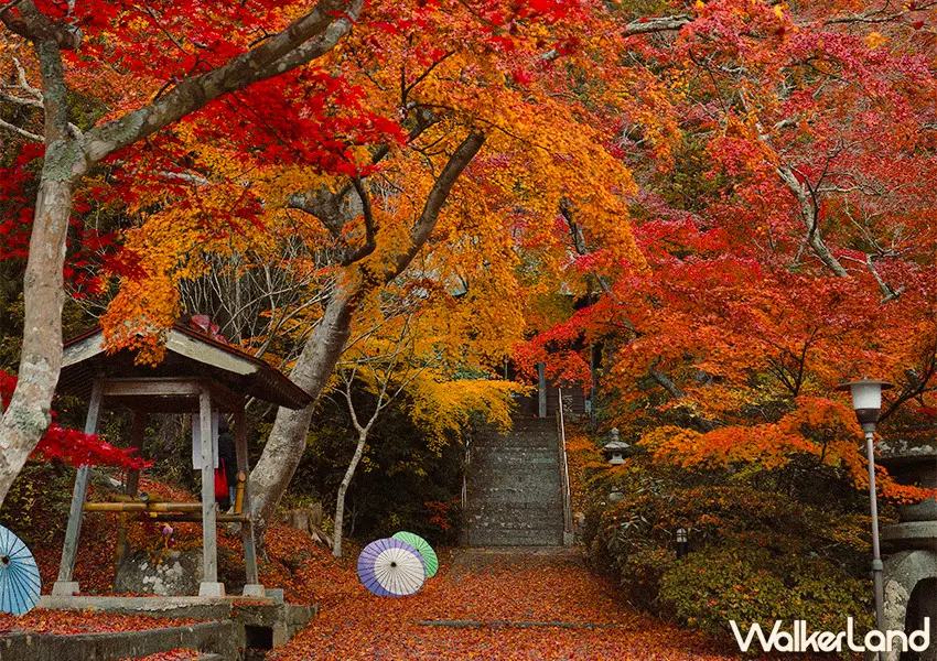 ▲日本東北紅葉秘境景點7選！福島冬天景點推薦，這邊觀光客最少。