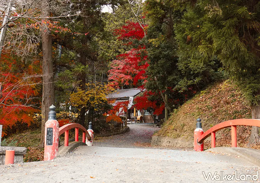 ▲日本東北紅葉秘境景點7選!福島冬天景點推薦,這邊觀光客最少。