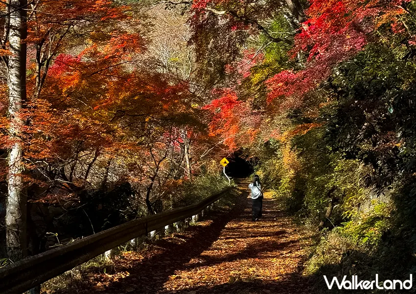 ▲日本東北紅葉秘境景點7選!福島冬天景點推薦,這邊觀光客最少。