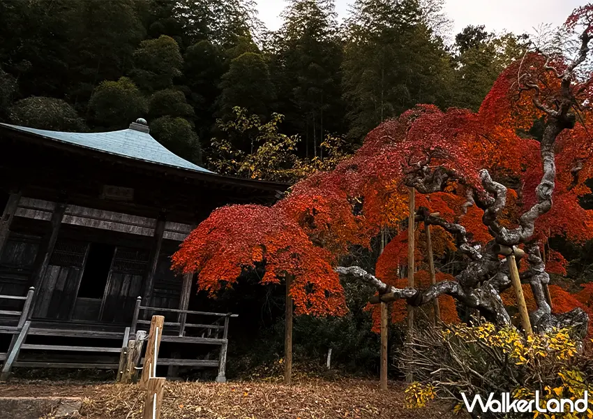 ▲日本東北紅葉秘境景點7選!福島冬天景點推薦,這邊觀光客最少。