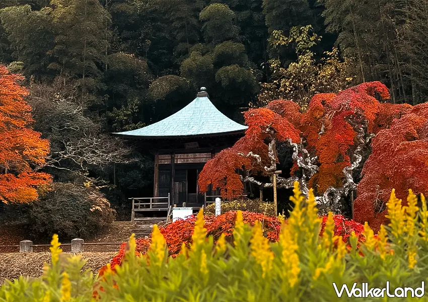 ▲日本東北紅葉秘境景點7選!福島冬天景點推薦,這邊觀光客最少。