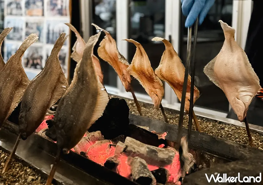 ▲日本東北自由行推薦！松川浦浜燒 × 遊学の宿いさみや 海鮮炭烤、超嗨氛圍別錯過，比目魚炭烤超香。