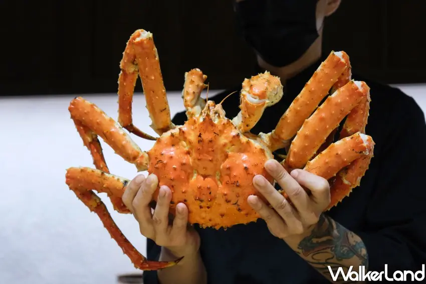 ▲鮨冶吉蟹宴選用最新鮮的松葉蟹,現場備料處理。(攝影:編輯 鄭雅之)