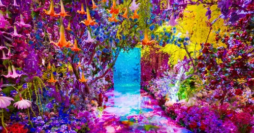 6大台北展覽預售票攻略！蜷川實花 芙莉蓮 咒術迴戰展，展覽地點、票價一次看。