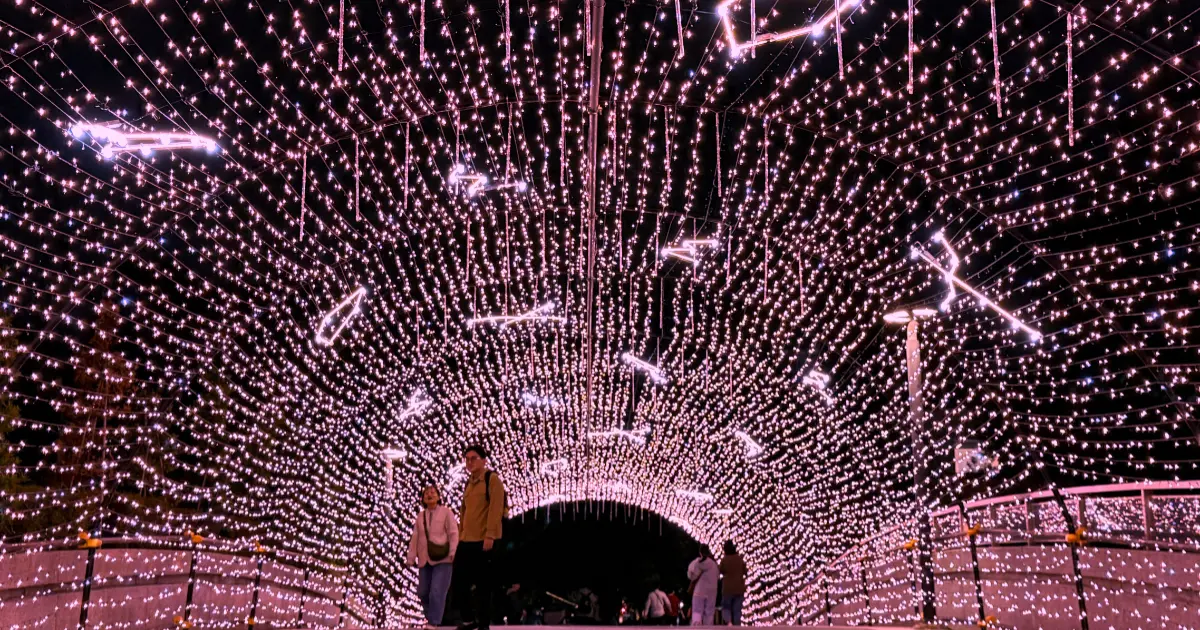 不只動物方城市聖誕樹！中山站浪漫粉光廊 阿凡達樹燈，聖誕試燈搶看。