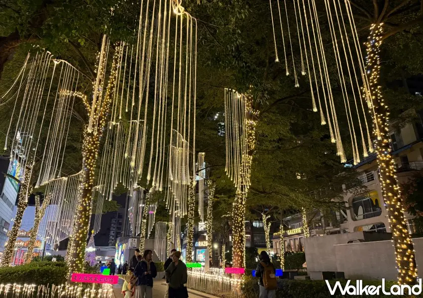 ▲中山站聖誕燈飾有從樹梢垂落的光條,營造阿凡達電影場景氛圍感。(攝影:編輯 鄭雅之)