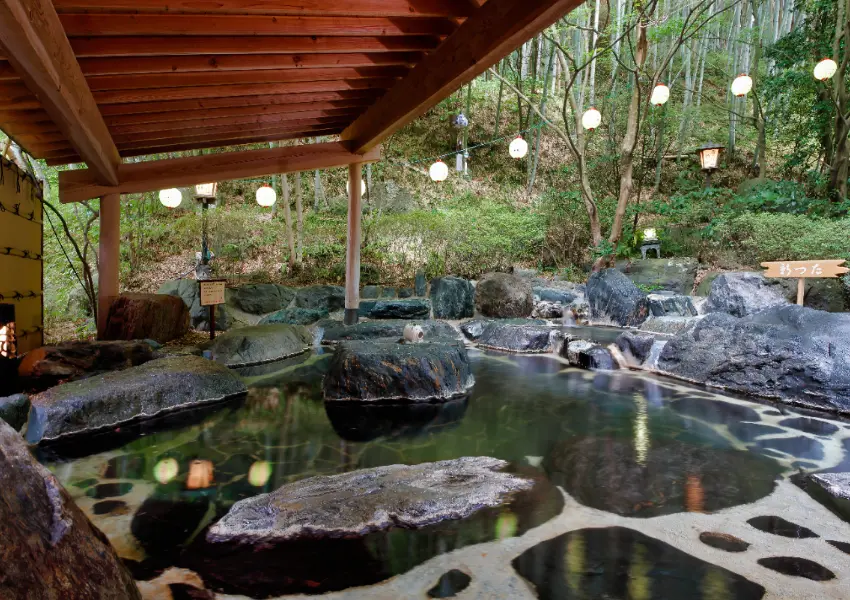 ▲東北溫泉飯店推薦！雨情之宿 新蔦 在竹林裡泡湯超愜意，福島磐城湯本溫泉、一泊二食一次看。