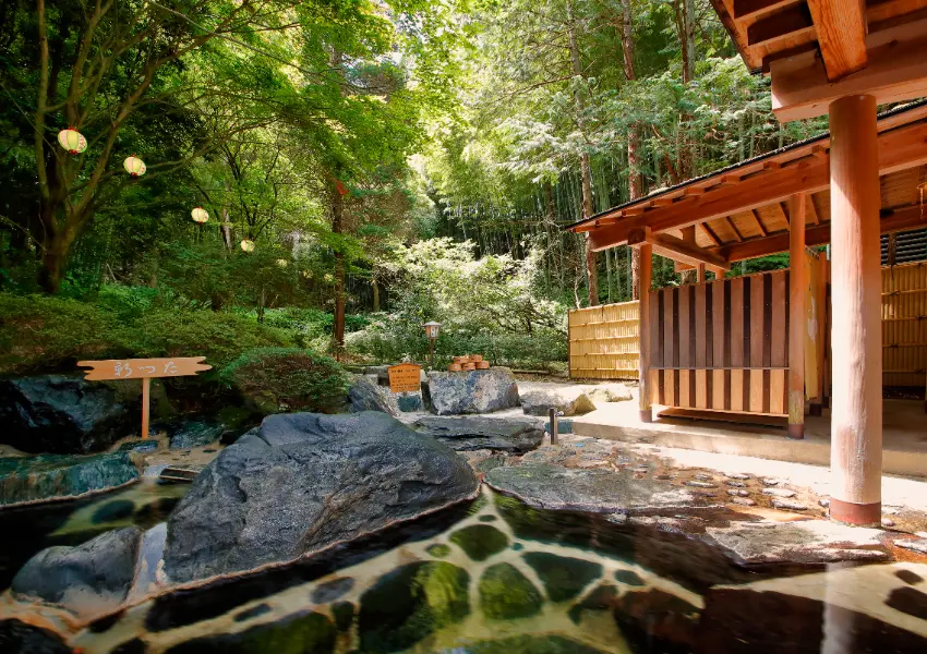 ▲東北溫泉飯店推薦！雨情之宿 新蔦 在竹林裡泡湯超愜意，福島磐城湯本溫泉、一泊二食一次看。