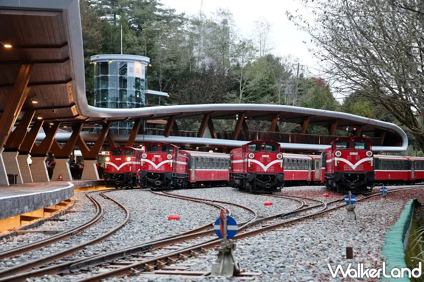 ▲阿里山林鐵多輛紅色列車整齊排列於祝山車站,為元旦清晨的大量旅客做足運輸準備 / 林鐵及文資處 吳明翰拍攝
