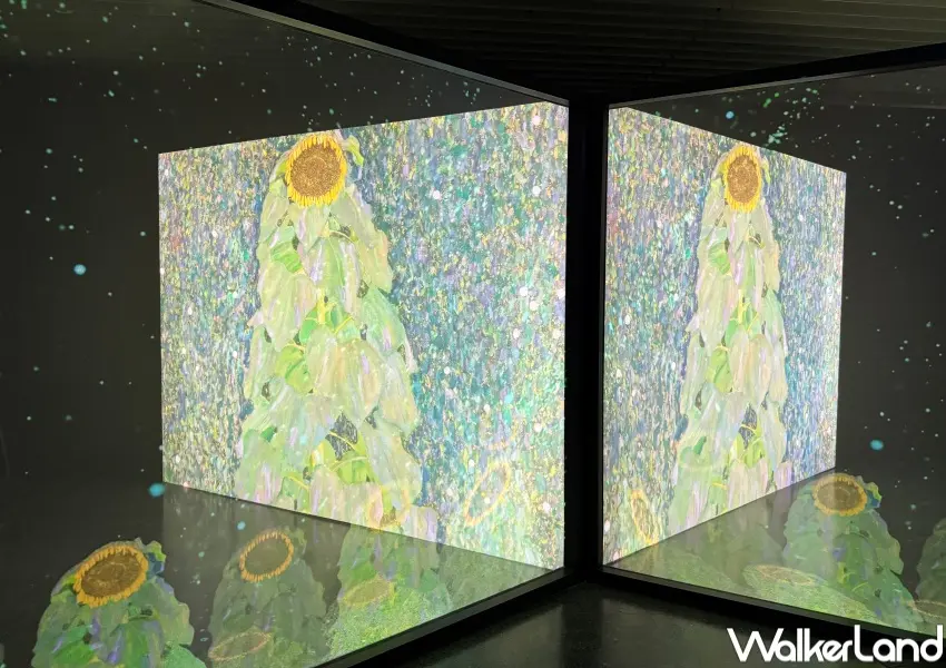 ▲維也納美景宮百年花繪名作展在台北！克林姆沈浸式花園展區打卡必拍。(攝影：鄭亦庭)