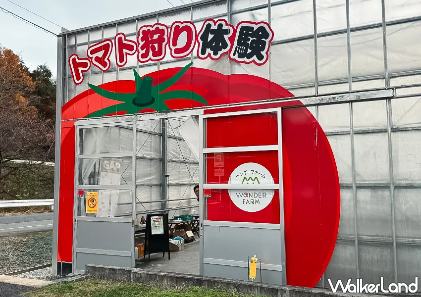 ▲日本東北自由行推薦！Wonder Farm 根本番茄控的天堂，現採番茄、蕃茄料理吃到飽超滿足。