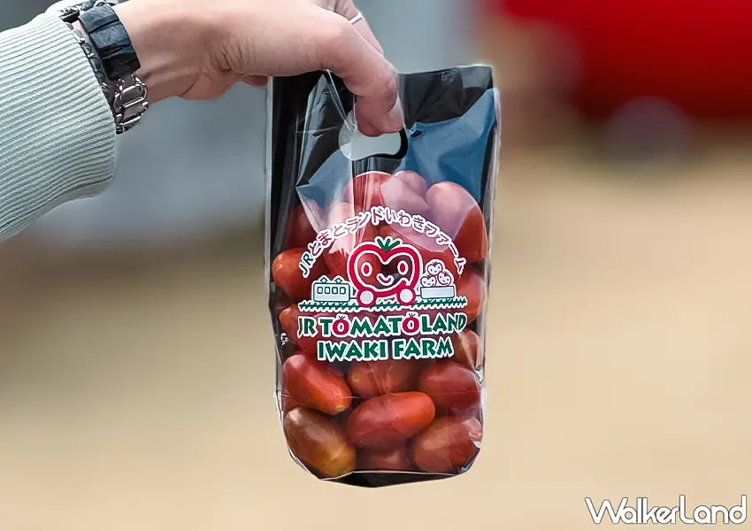 ▲日本東北自由行推薦！Wonder Farm 根本番茄控的天堂，現採番茄、蕃茄料理吃到飽超滿足。