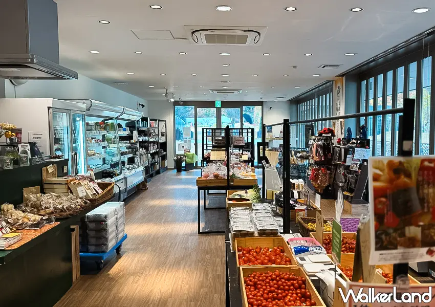 ▲日本東北自由行推薦！Wonder Farm 根本番茄控的天堂，現採番茄、蕃茄料理吃到飽超滿足。