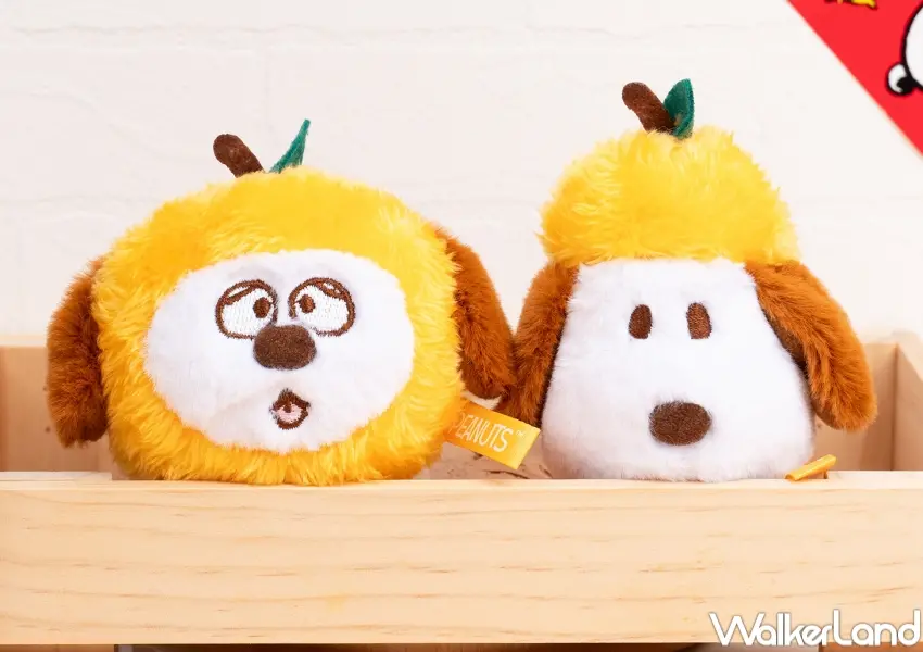 ▲史努比花生飲茶快閃店 柑桔造型小物與毛茸茸玩偶迎接嶄新一年。