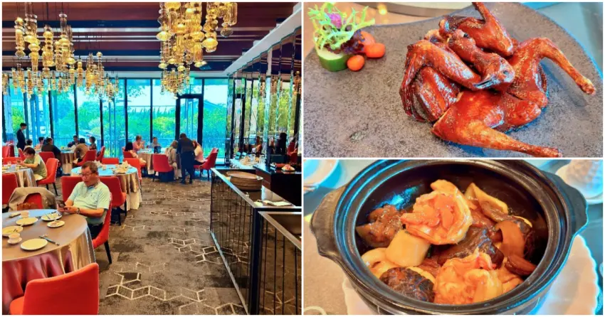 ▲七期的頂粵吉品以奢雅空間與細膩火候著稱，片皮鴨、乳鴿與海鮮料理都是人氣招牌。