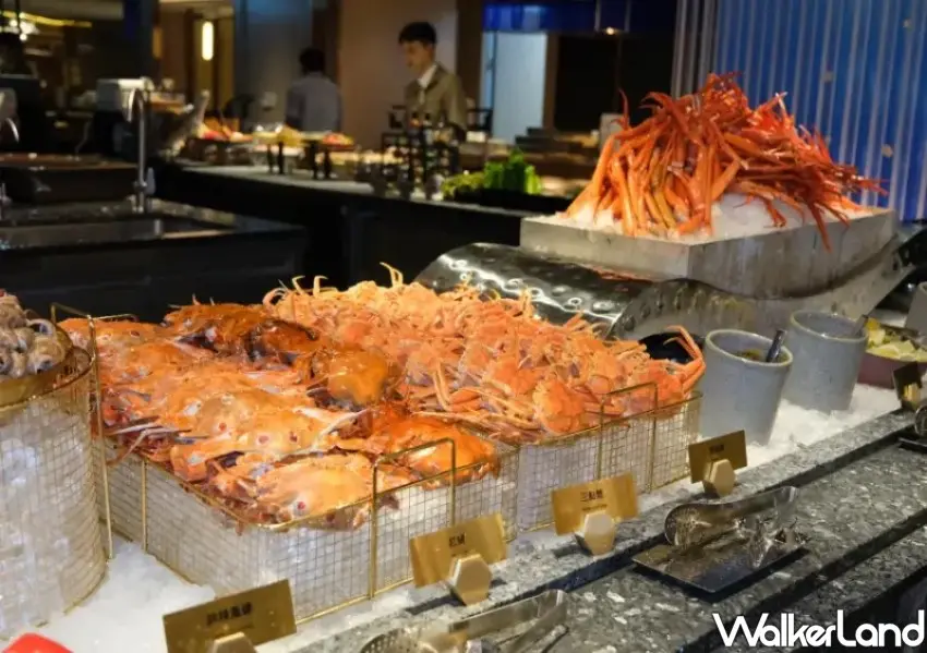 ▲漢來島語台茂將於12/11上午11點開放電話與線上訂位。(攝影:編輯 鄭雅之)